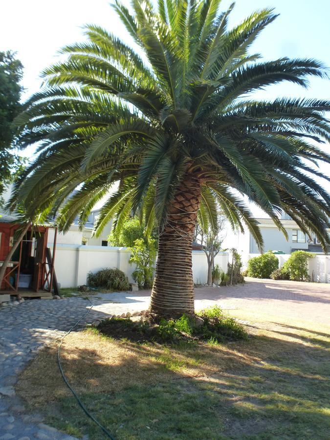 Cape Town Milnerton Lagoon Villa Kültér fotó